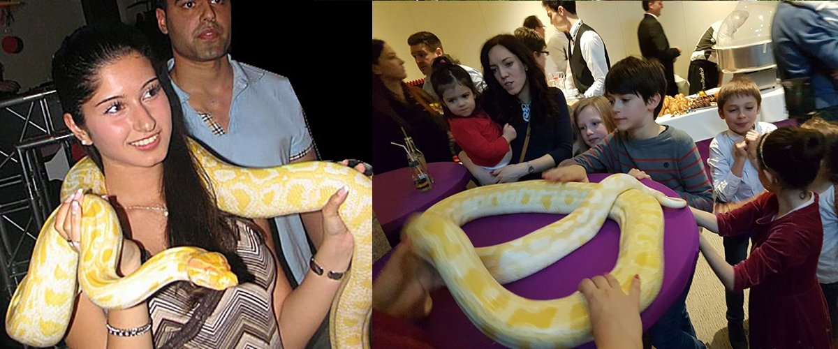 1001 Nacht Themafeest met slangen